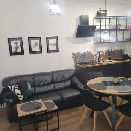 Apartment Meduza
