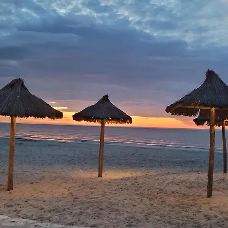 Meduza * Białogóra