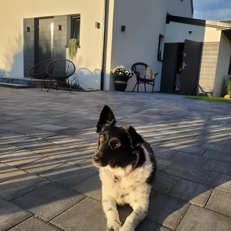 公寓 Meduza Białogóra