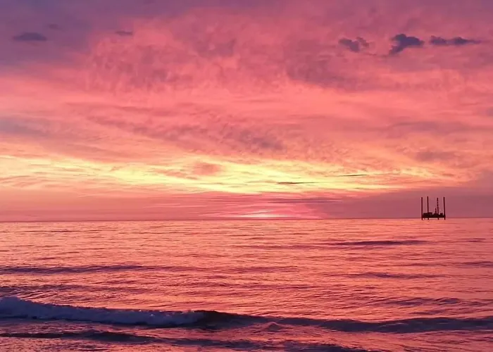 Meduza * Białogóra