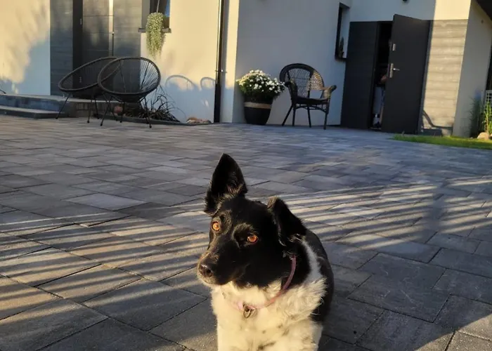 Apartment Meduza Bialogora